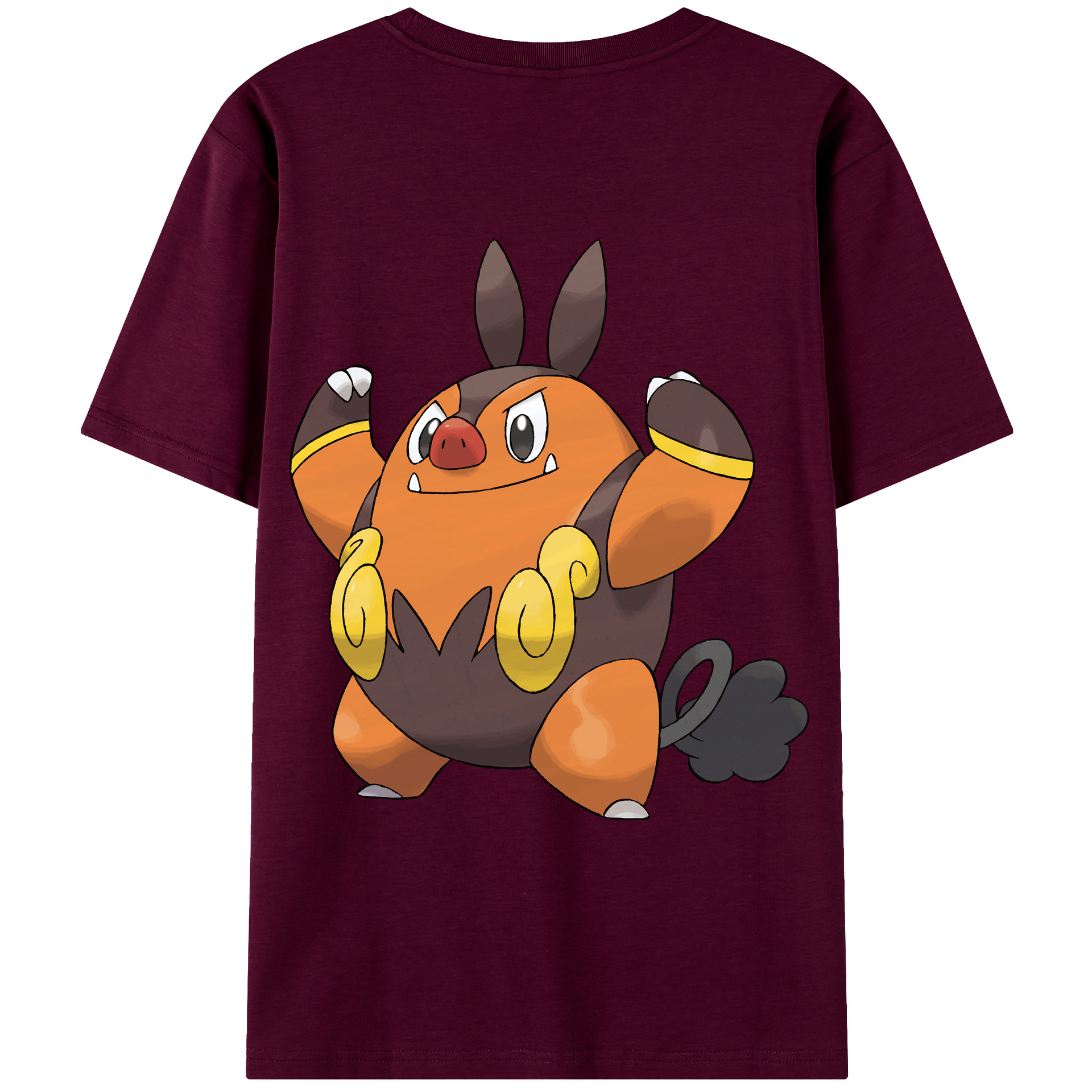 （画像用） ポケットモンスター Pokémon レディース半袖Tシャツ(バックプリント)
